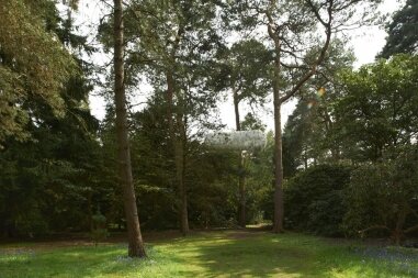 Charbel Ackermann Dead Cat photo: Thierry Bal